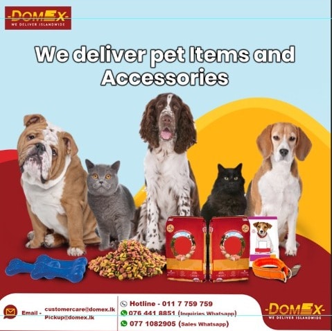Domex Updates  Pet Items and Accessories Delivery